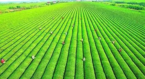 新农业 深度融合的产业革命