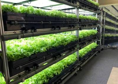 未来10年 植物工厂——农产品种植领域的投资蓝海