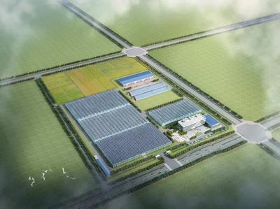 年培育种苗2亿株！农产品生产基地项目5月底全面建成