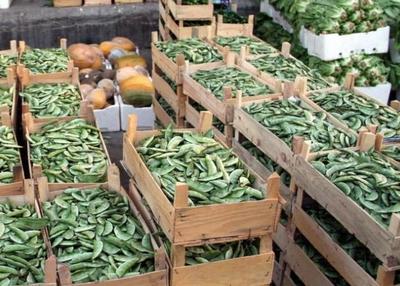 非洲沃土上的中国农业拓荒者 闲置土地变身“绿色银行”