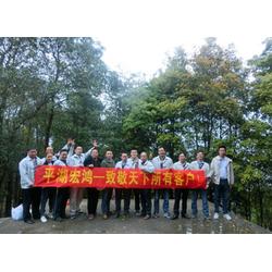 罗湖小学食堂蔬菜供应新升级 宏鸿农产品集团打造绿色健康餐桌