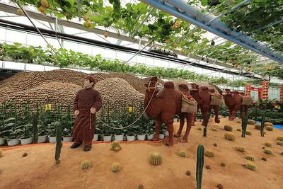 临期食品市场崛起 800亿蓝海下的百果园转型之路