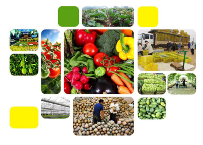 农业物联网技术赋能种植 为农业工作者带来的五大变革