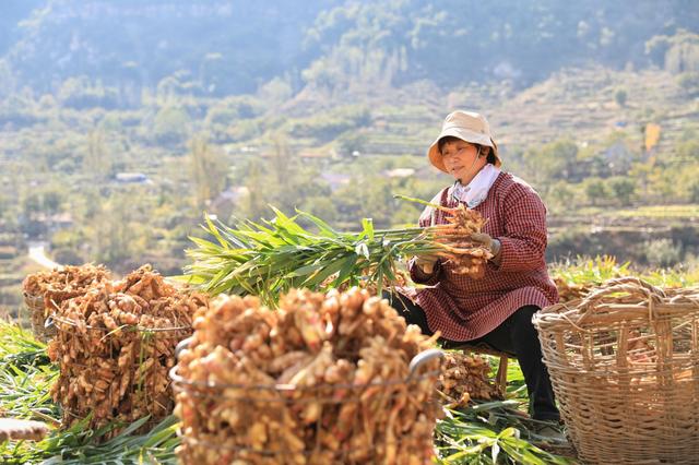 克城镇马武村 小杂粮种植领跑“一村一品一主体”，谱写农产品无公害新篇章